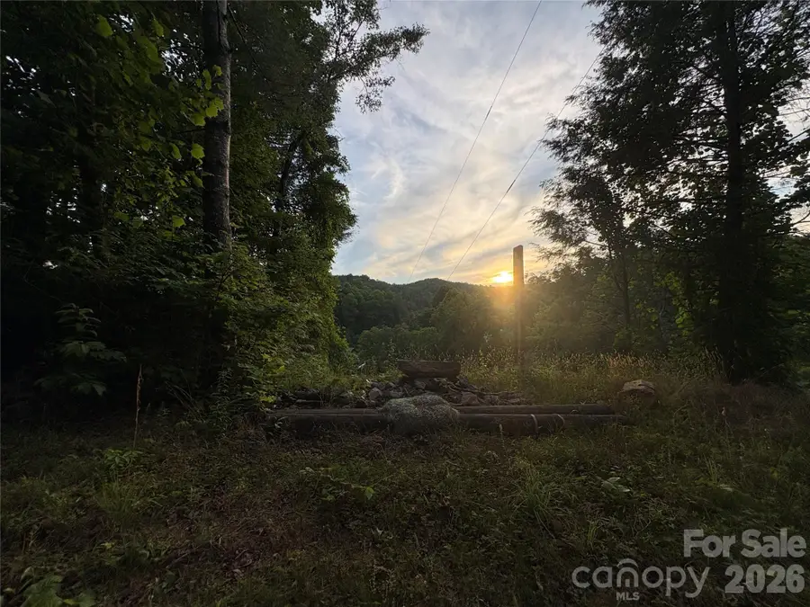 4733 Bat Cave Road, Old Fort, NC 28762 - #2