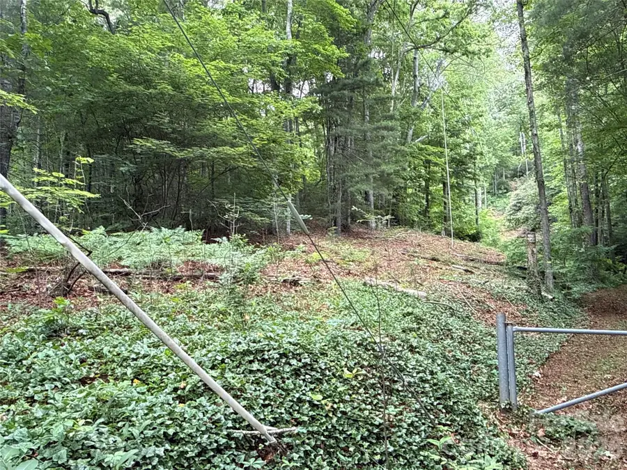 9999 Sunset Drive, Black Mountain, NC 28711 - #2