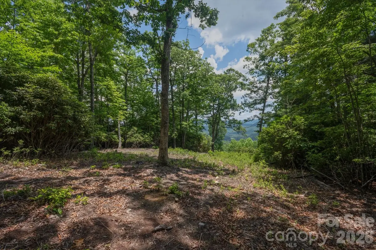 TBD Reserve Road #16, Pisgah Forest, NC 28768 - #1