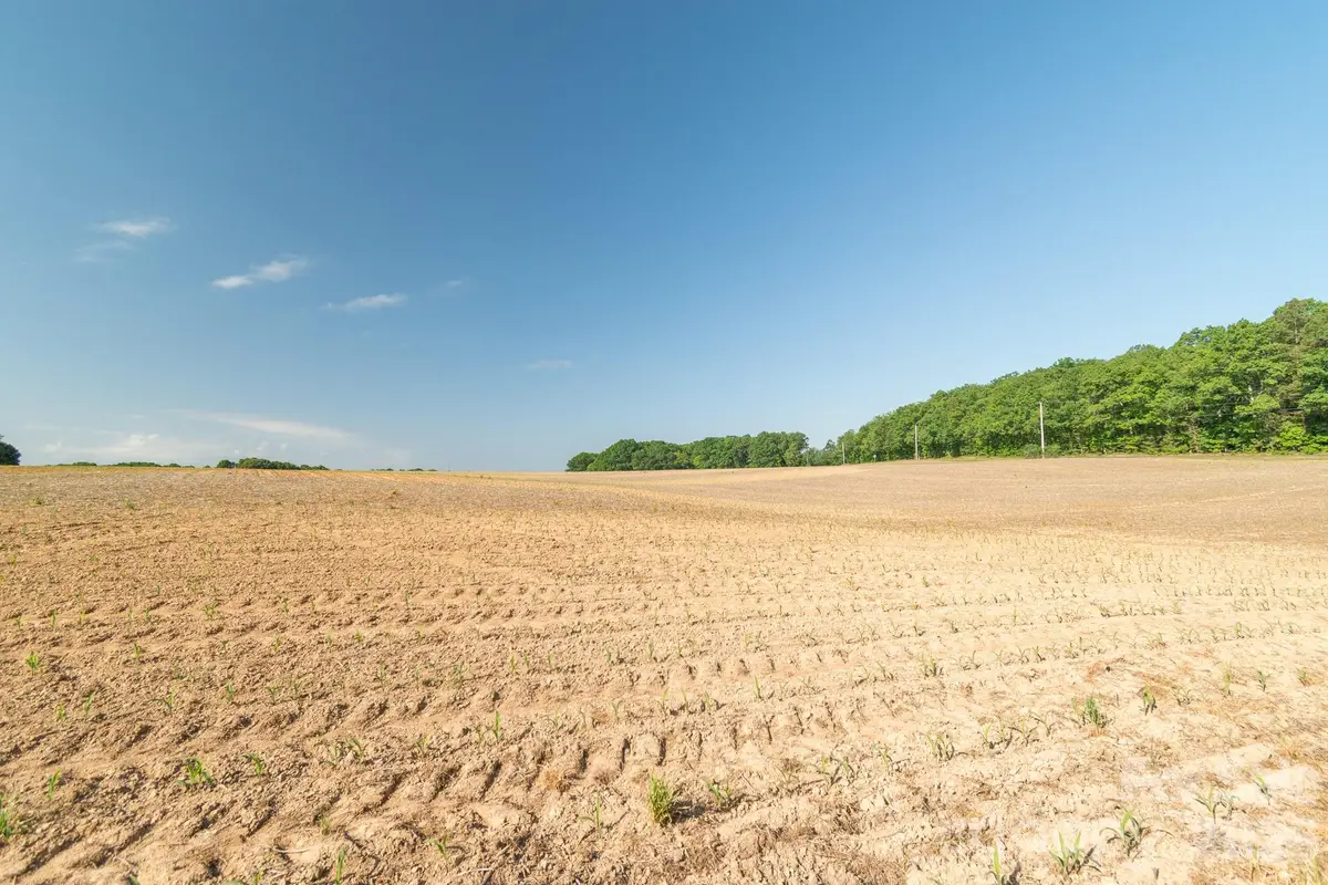 0 Hearne Road, New London, NC 28127 - #1