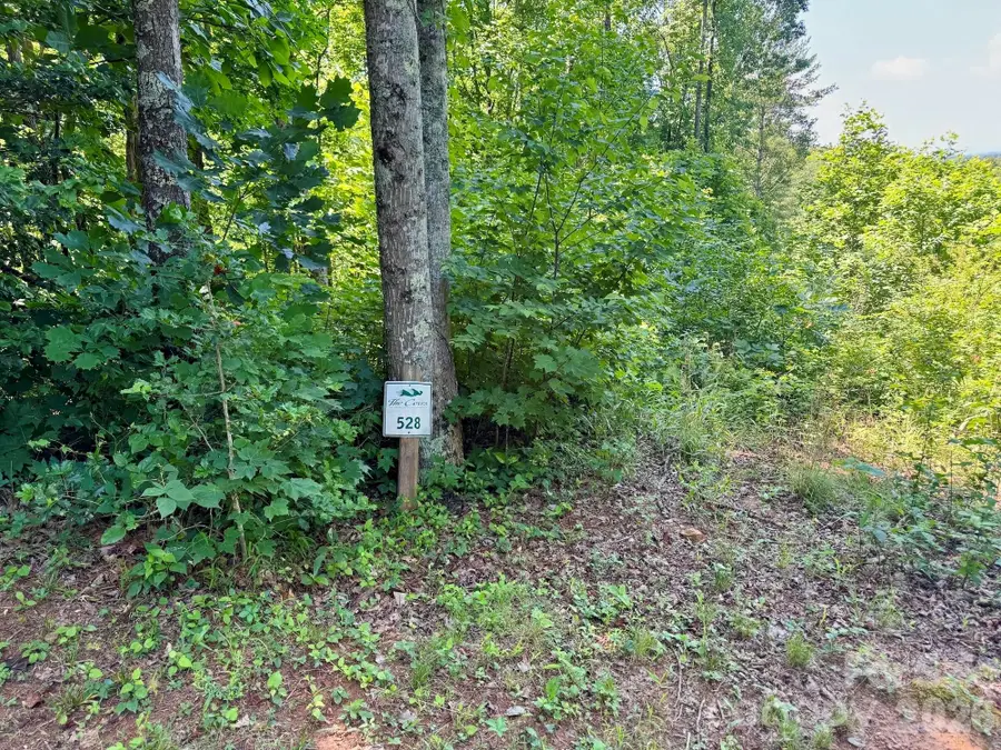 10 acres, Lot 528, Scenic Vista Trail #528, Lenoir, NC 28645 - #2
