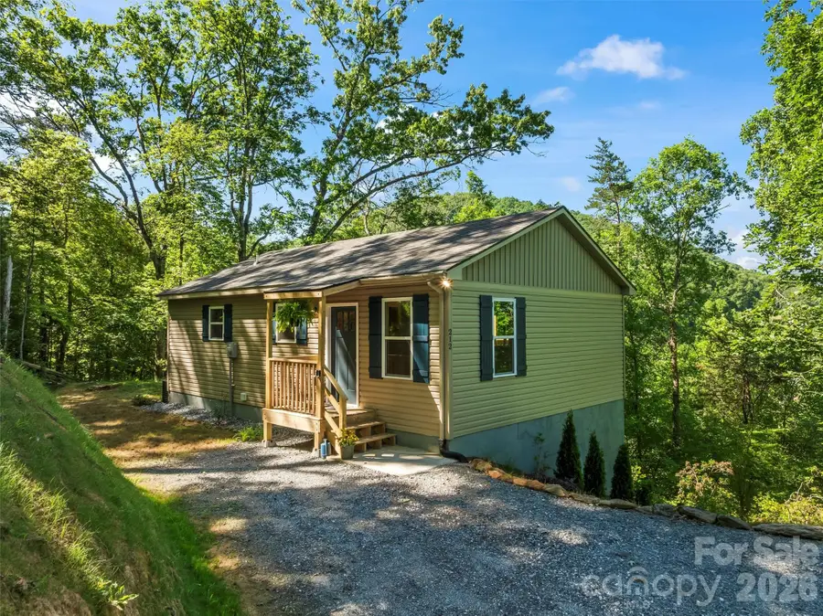 212 Brigsy Lane, Whittier, NC 28789 - #2