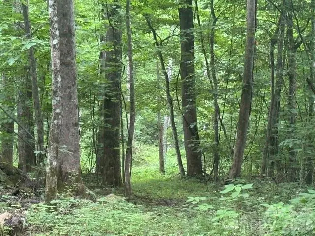 00 Sugar Loaf Mountain Road, Marshall, NC 28753 - #1