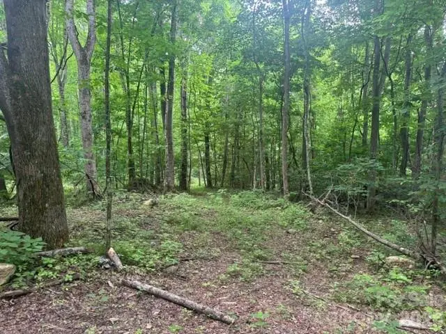 00 Sugar Loaf Mountain Road, Marshall, NC 28753 - #2