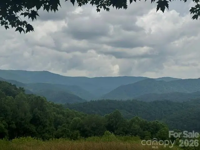 00 Sugar Loaf Mountain Road, Marshall, NC 28753 - #3