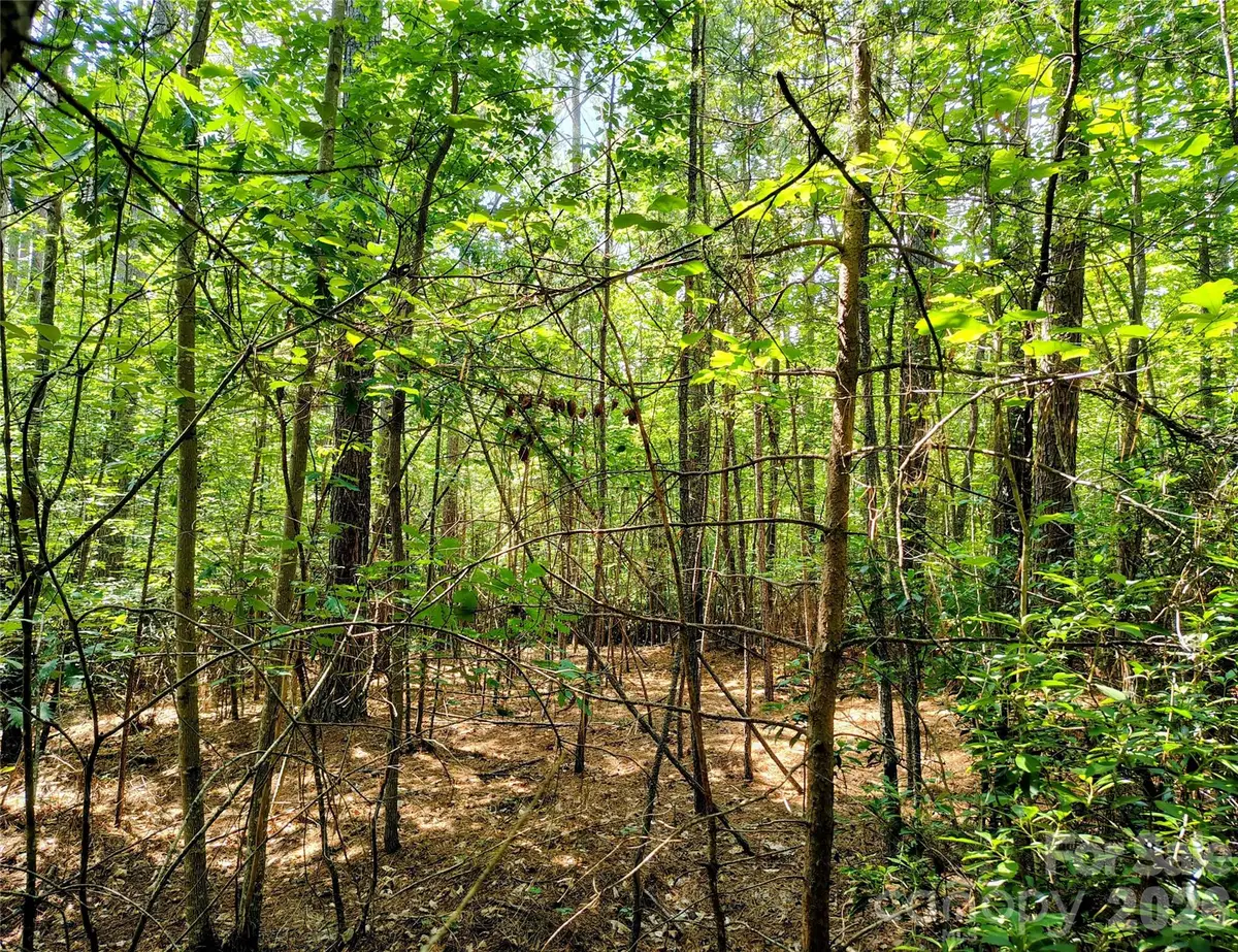 210 Harbor Ridge Drive, Connelly Springs, NC 28612 - #1