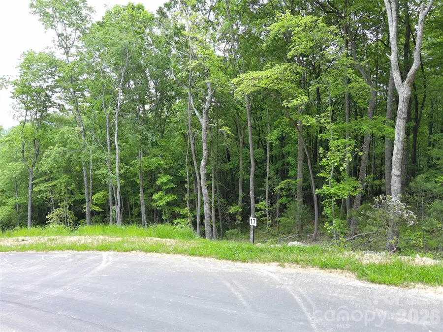Lot 17 Northview Drive, Hendersonville, NC 28791 - #3