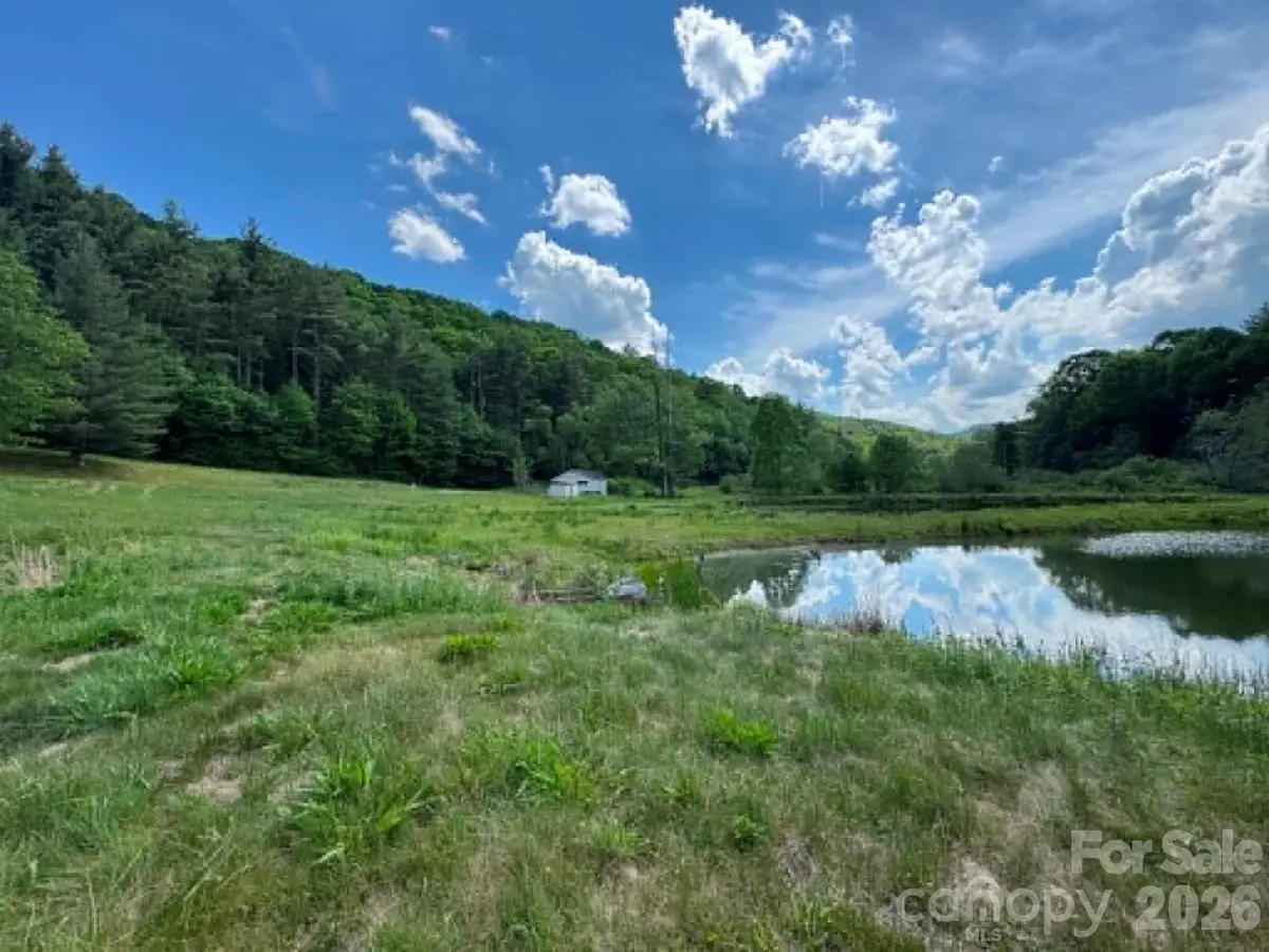 1298 Air Bellows Gap Road, Sparta, NC 28675 - #1