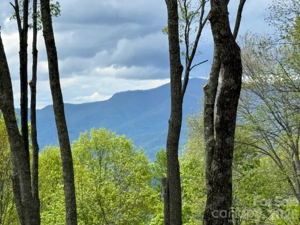 1817 E Reach Road #216, Sylva, NC 28779