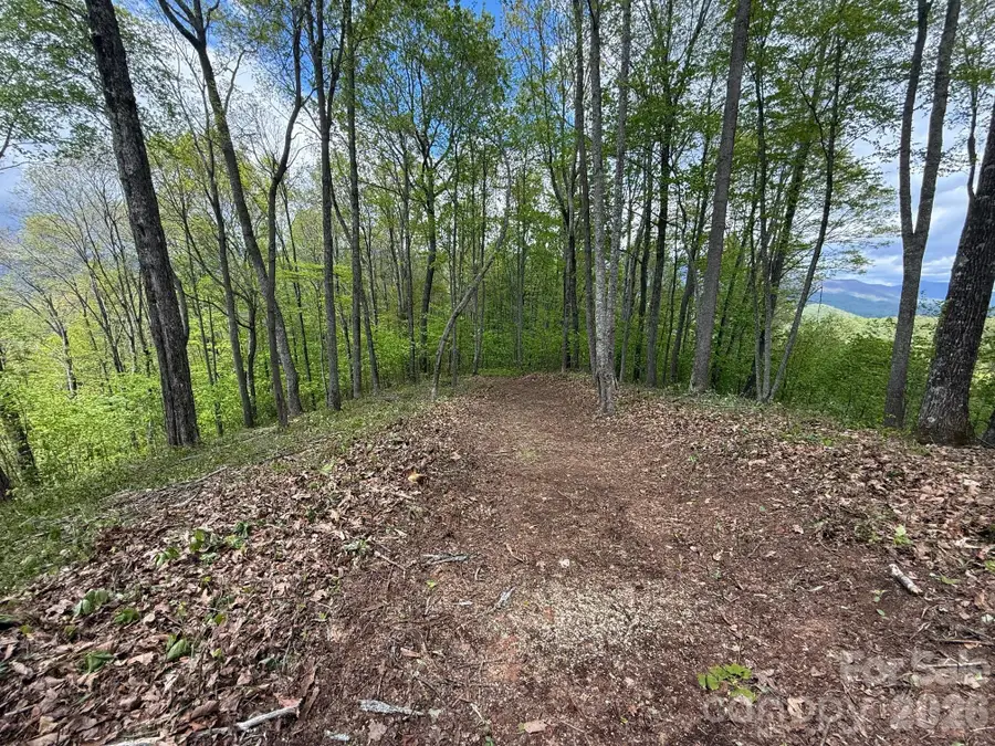 1817 E Reach Road #216, Sylva, NC 28779 - #2