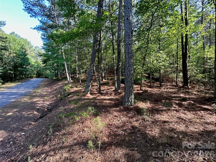 2143 Lighthouse Lane, Connelly Springs, NC 28612 - #3