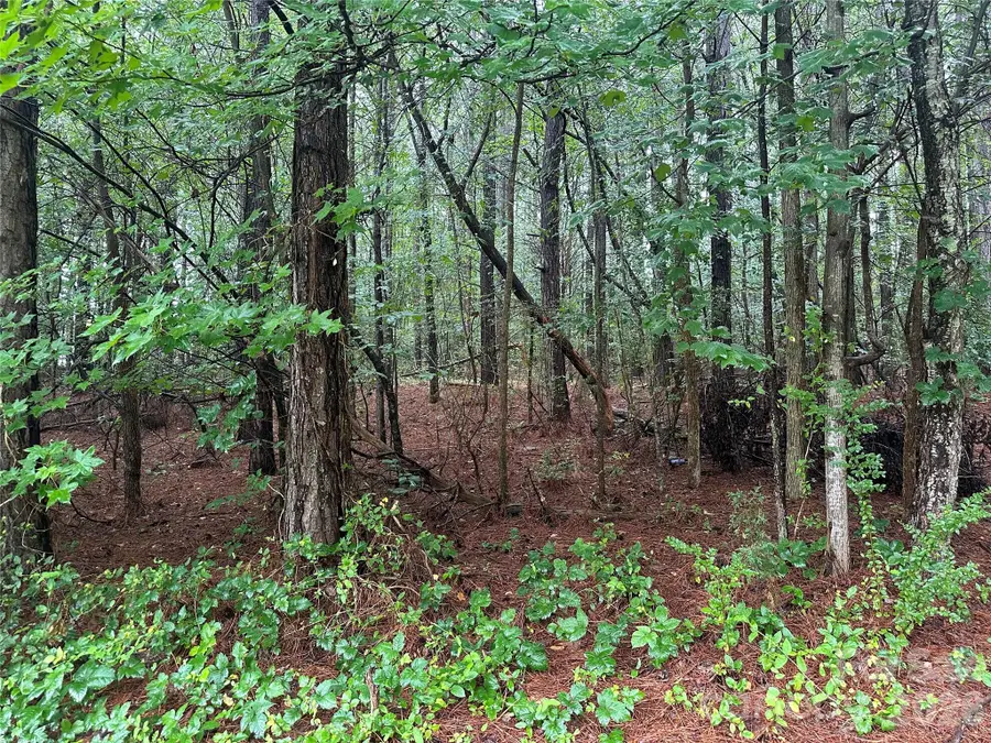 000 Young Road, Bessemer City, NC 28016 - #3