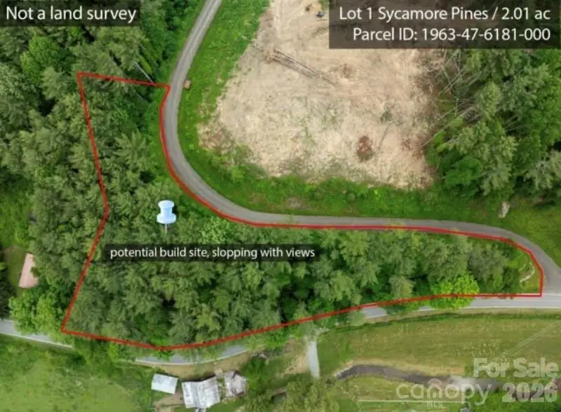 TBD Sycamore Road, Vilas, NC 28692 - #2