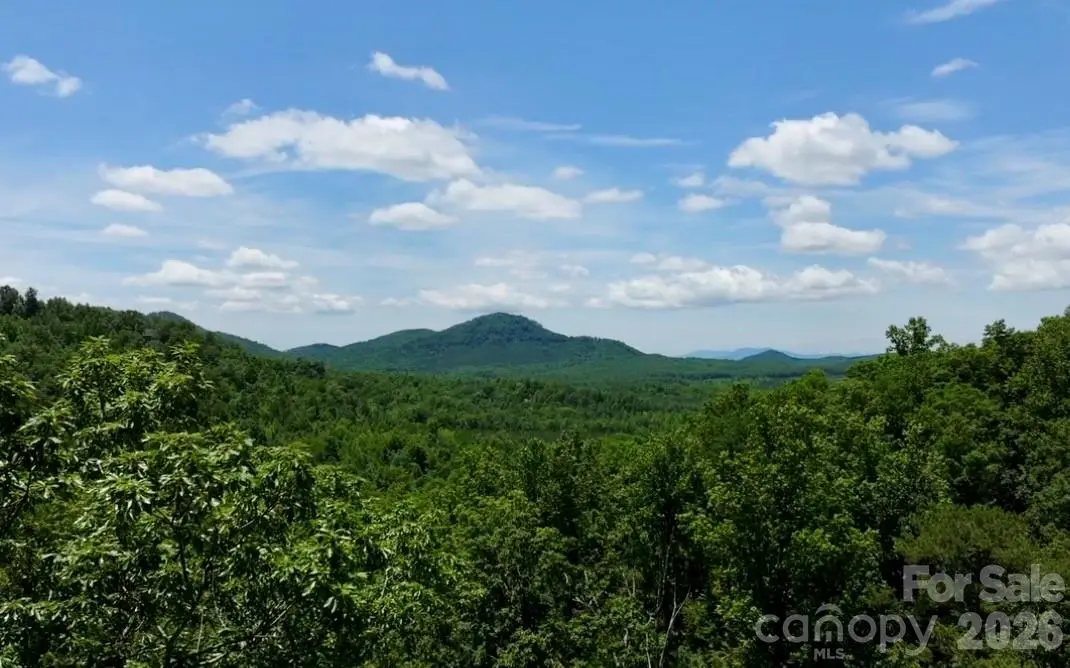 108 Mountain Brook Trail, Nebo, NC 28761 - #1