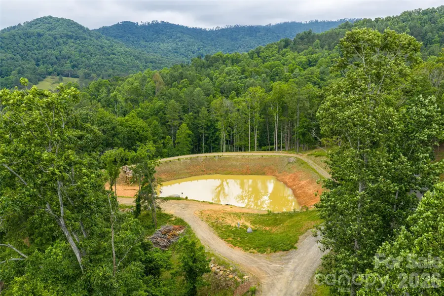 9999 Bear View Road, Weaverville, NC 28787 - #2