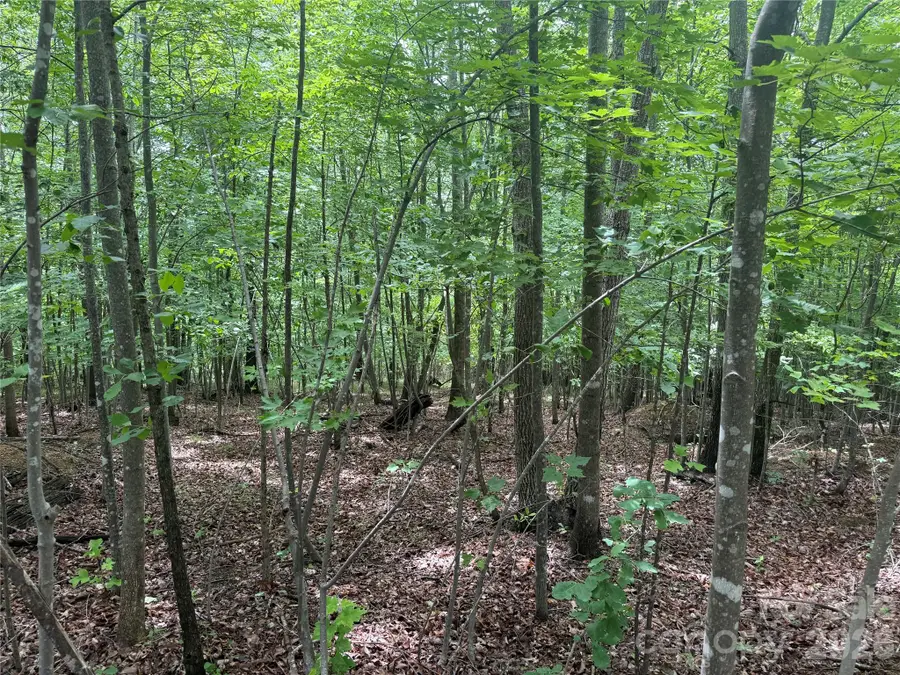 V/L Scenic Vista Drive #246, Nebo, NC 28761 - #3