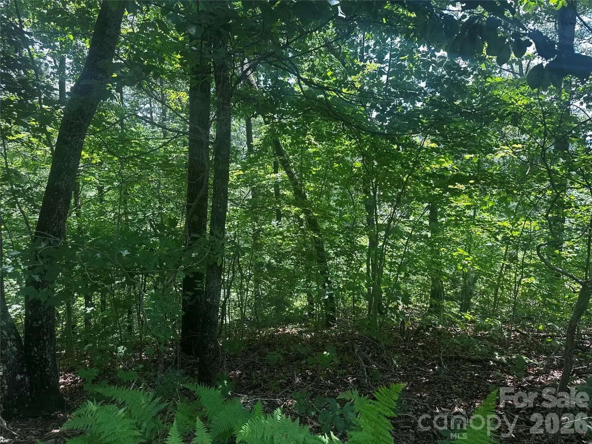 0 South Drive, Lake Lure, NC 28746 - #1