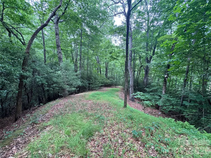 000 Chestnut Oak Lane, Pisgah Forest, NC 28768 - #2