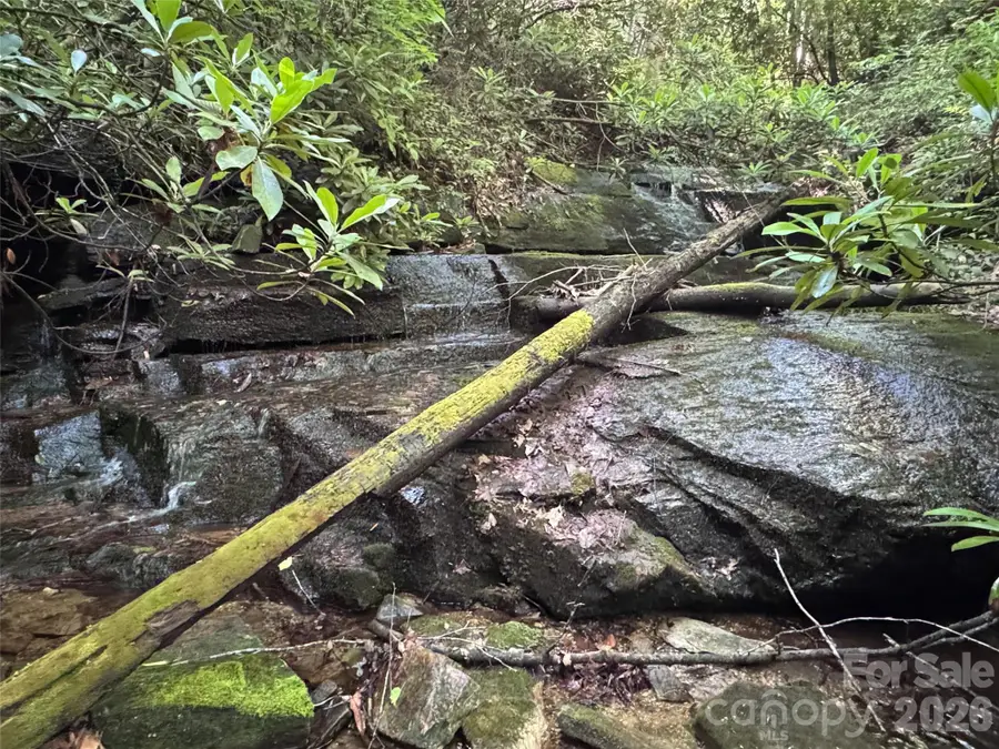000 Chestnut Oak Lane, Pisgah Forest, NC 28768 - #3