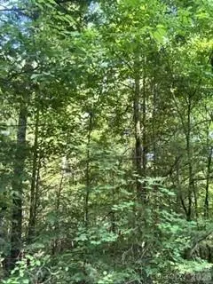 TBA Ricks Road, Sharon, SC 29742