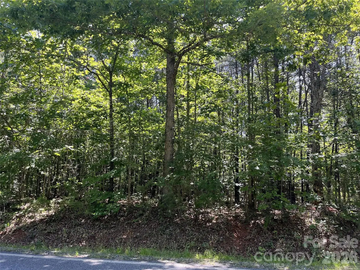 0 Rock Road, Rutherfordton, NC 28139 - #1