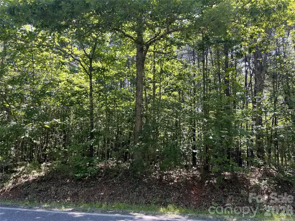 0 Rock Road, Rutherfordton, NC 28139