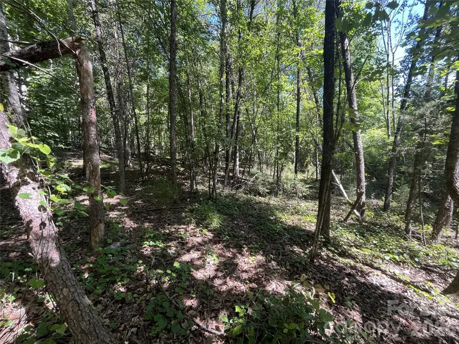 0 Rock Road, Rutherfordton, NC 28139 - #2