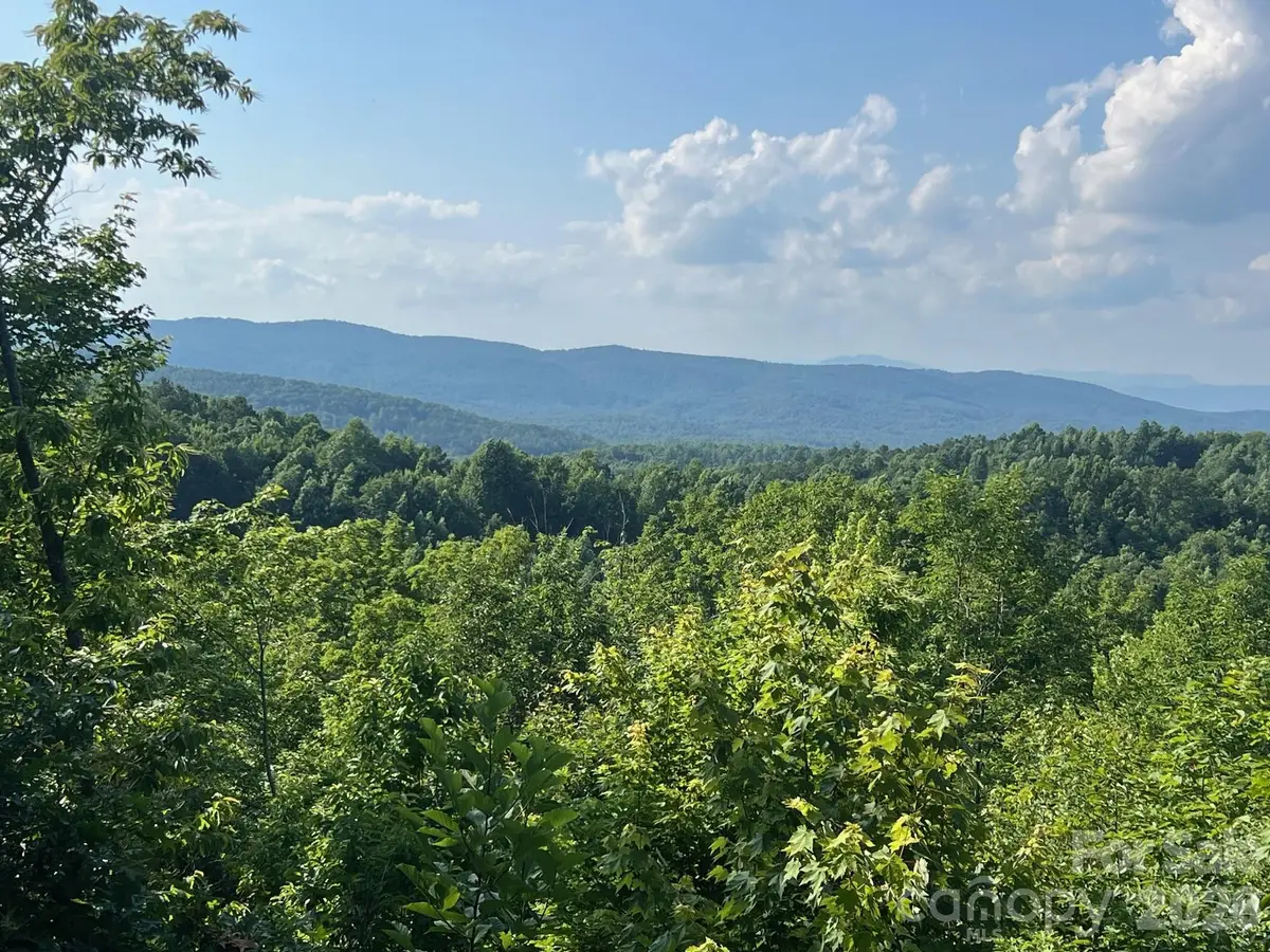 253 Falls Creek Drive, Nebo, NC 28761 - #1