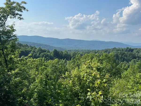 253 Falls Creek Drive, Nebo, NC 28761