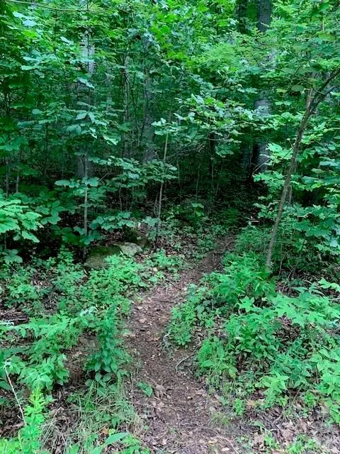 tbd Whitewater Cove, Montreat, NC 28757 - #1