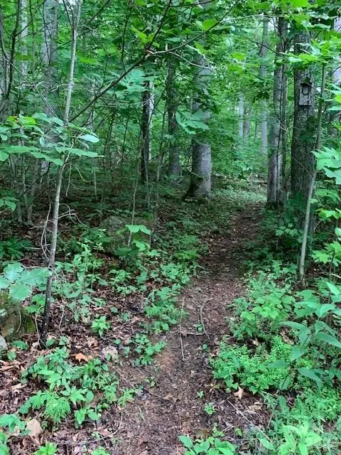 tbd Whitewater Cove, Montreat, NC 28757 - #3
