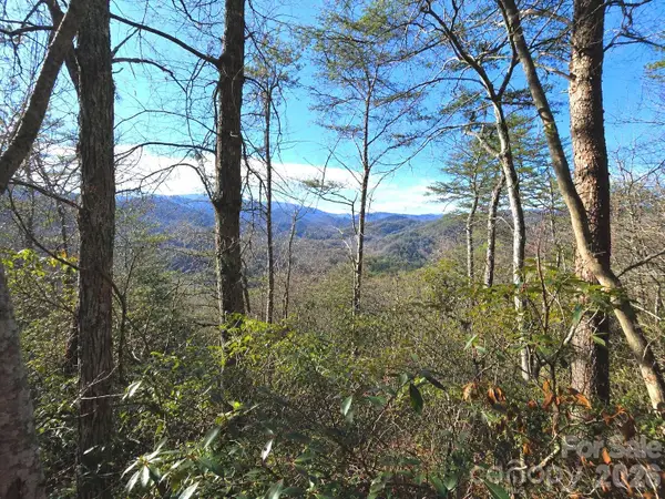 81 Lucerne Drive, Canton, NC 28716