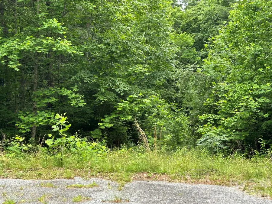 0 Silverstone Drive #16 & 17, Hendersonville, NC 28792 - #2