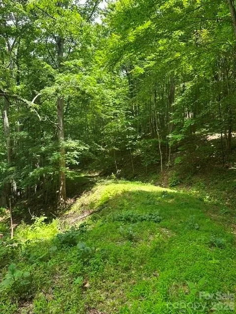 TBD Mountain Home Road #2, Elk Park, NC 28622