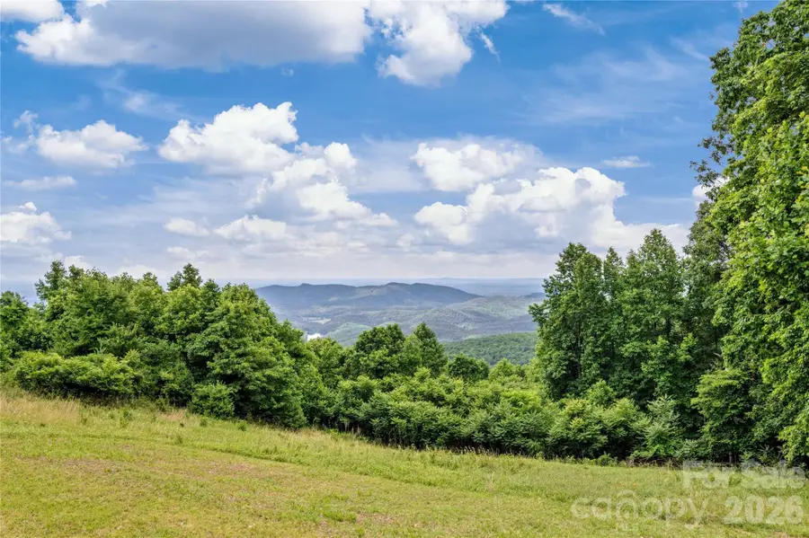 576 Lake Vista Drive, Glade Valley, NC 28627 - #3