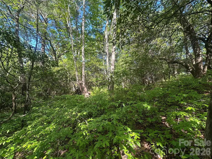 RR 17 Lakeside Drive, Lake Toxaway, NC 28747 - #3