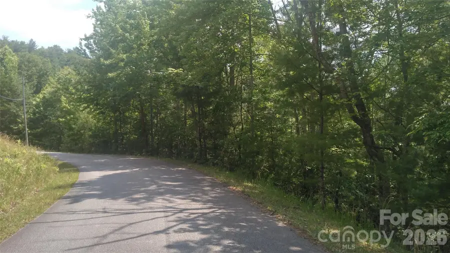 Lot 17 Deer Ridge Trail, Marion, NC 28752 - #3