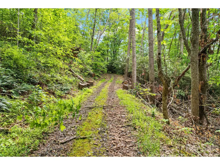000-000 Bee Branch Road #14AC, Bakersville, NC 28705 - #3