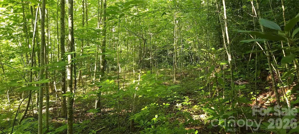 Lot# 19 Mill Creek Road, Old Fort, NC 28762 - #1