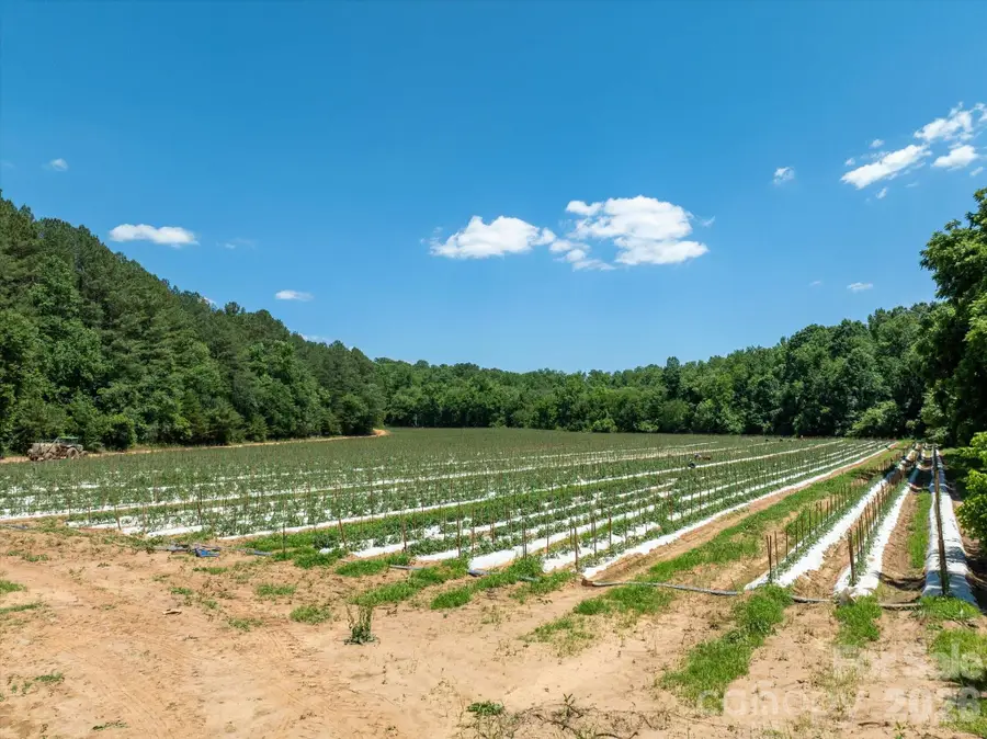99999 Tryon Road, Rutherfordton, NC 28139 - #2