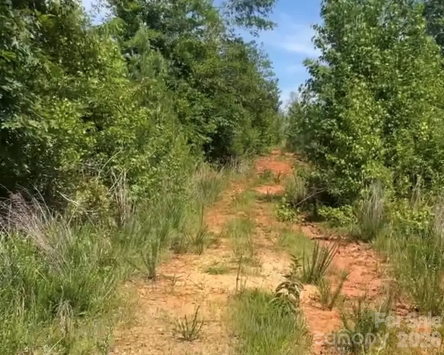 000 Promise Pride Drive, Edgemoor, SC 29712 - #3