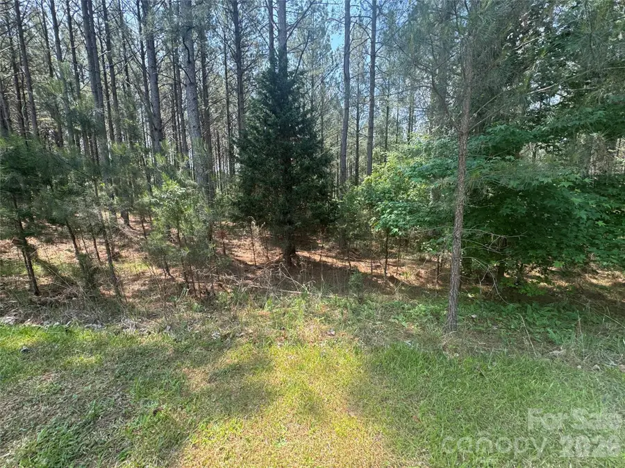 105 Stoney Brook Trail, Mooresboro, NC 28114 - #3