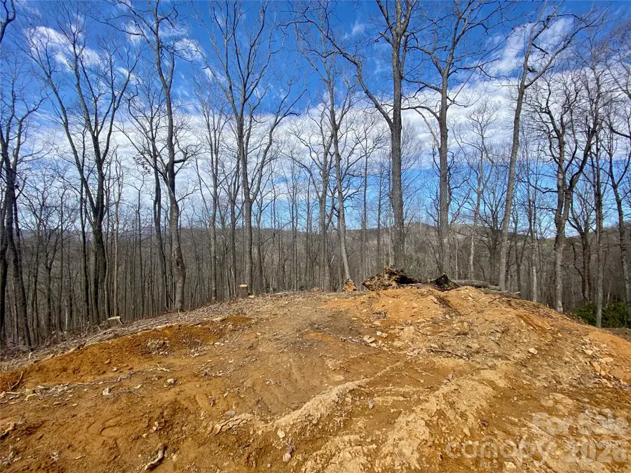 TBD Old Chestnut Mountain Road, Newland, NC 28657 - #3