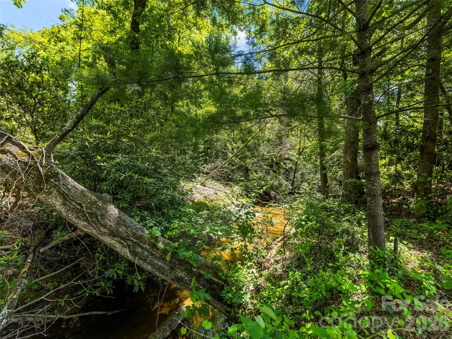 742 Hiawassee Avenue, Black Mountain, NC 28711 - #3