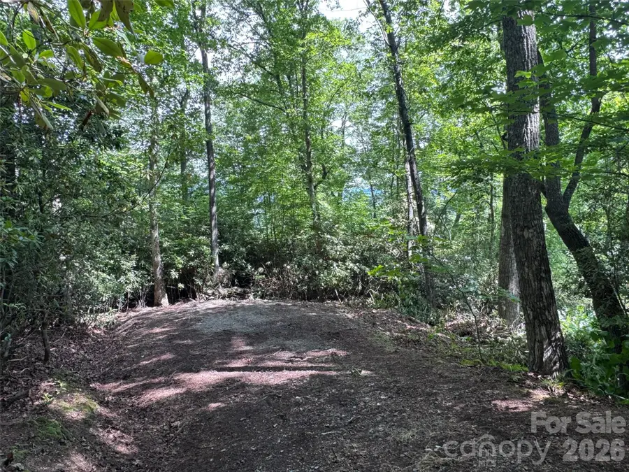 10A Reserve Road, Pisgah Forest, NC 28768 - #3