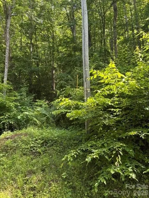 00 Shoaf Lane, Warrensville, NC 28693 - #2