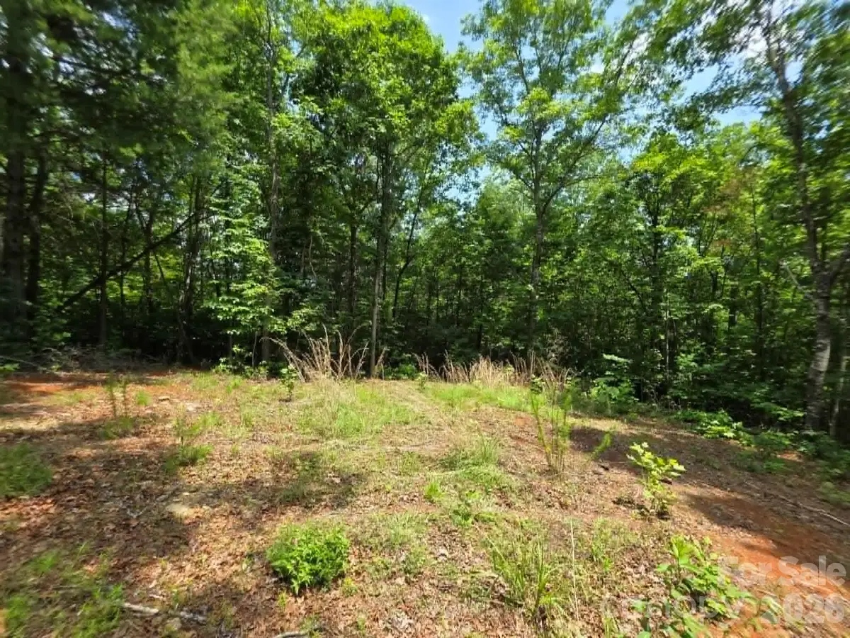 169 Fairfield Lane, Marion, NC 28752 - #1