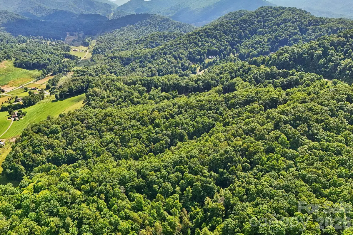 77 Traditions Way, Mars Hill, NC 28754 - #1