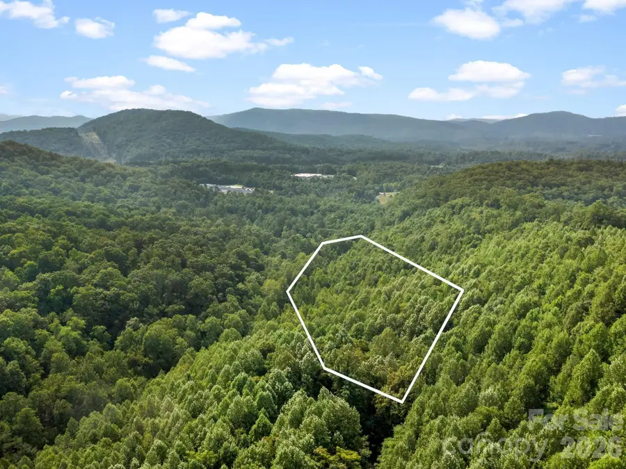999 South View Court #46, Marion, NC 28752 - #2