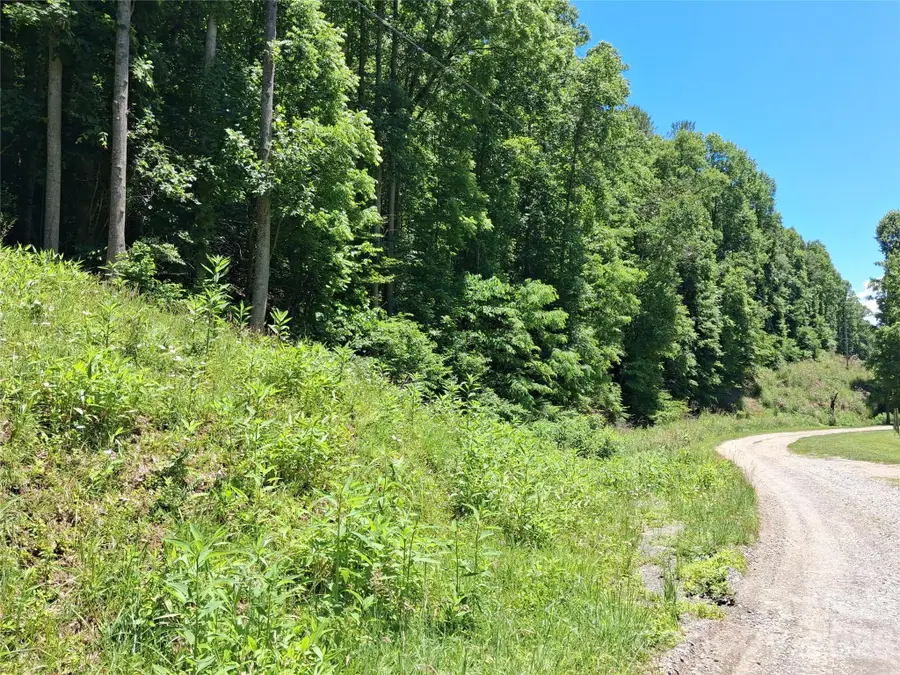 TBD Wooded Mountain Trail #Tract 2, Mars Hill, NC 28754 - #3
